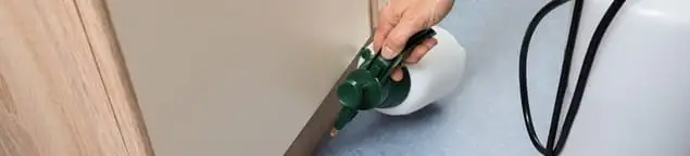 Bed bug exterminator treating baseboards and cracks with targeted spray in Glendale, AZ