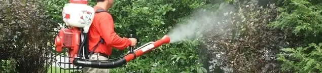 Mosquito control technician fogging shrubs and landscaping for mosquito treatment in Glendale, AZ