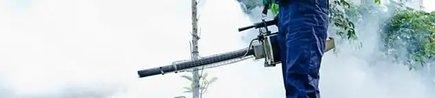 Pest control technician fogging an outdoor area for insect control in Glendale, AZ