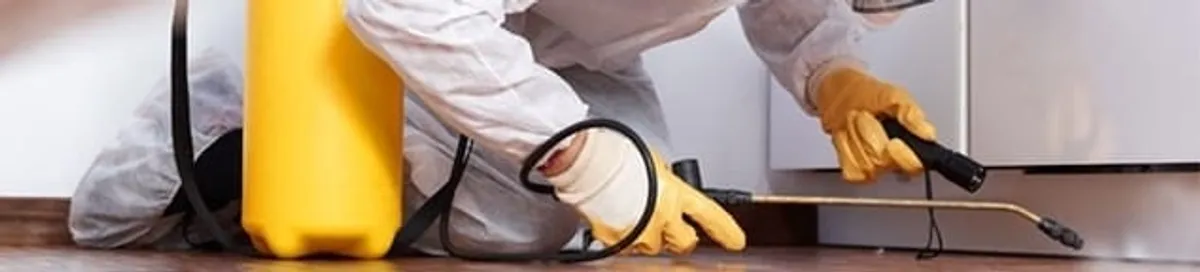 Roach exterminator treating cracks and crevices along kitchen baseboards in Glendale, AZ