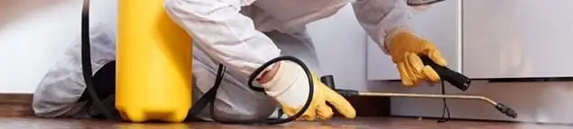 Roach exterminator treating cracks and crevices along kitchen baseboards in Glendale, AZ