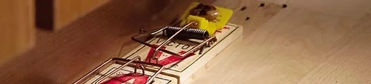 Rodent trap set indoors for rodent control and prevention in Glendale, AZ
