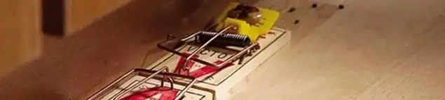 Rodent trap set indoors for rodent control and prevention in Glendale, AZ